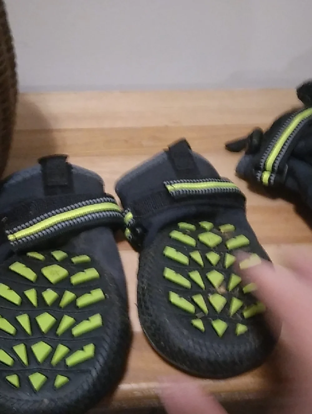 Arcadia Trail All-Terrain Dog Boots